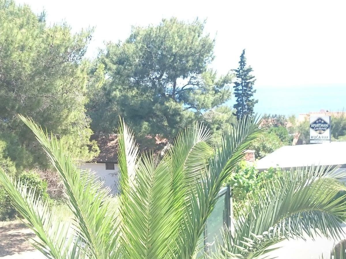 וויס Apartments Riba מראה חיצוני תמונה